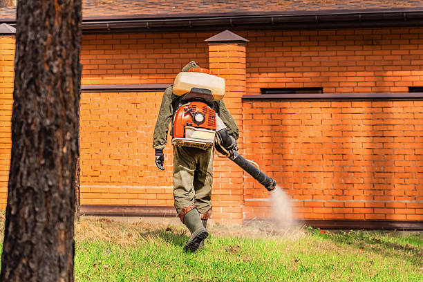 Top rated local Wasp Removal specialists in Enterprise, AL